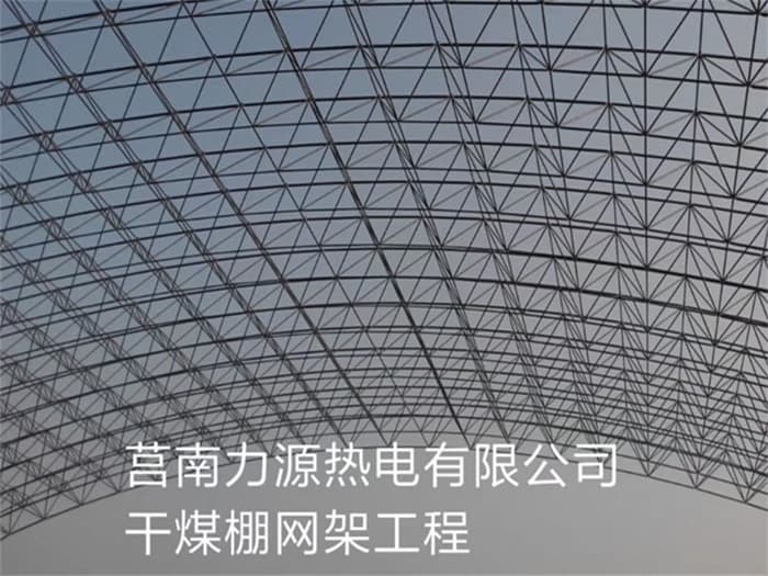 贺州力源热电有限公司干煤棚网架工程